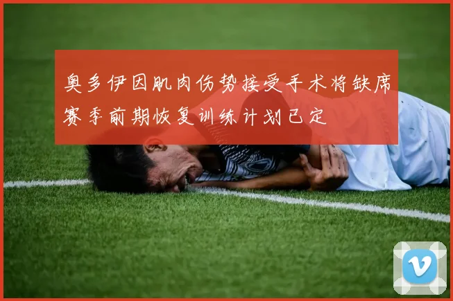 奥多伊因肌肉伤势接受手术将缺席赛季前期恢复训练计划已定